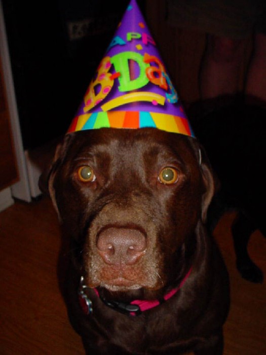 Hailey 3 yr bday w party hat 8 22 02