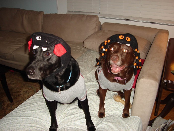 Hailey & Cameron Halloween 2006 (1)