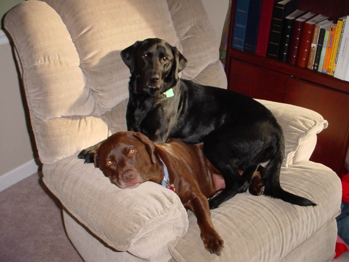 Hailey & Cameron cuddling 11 10 04 003