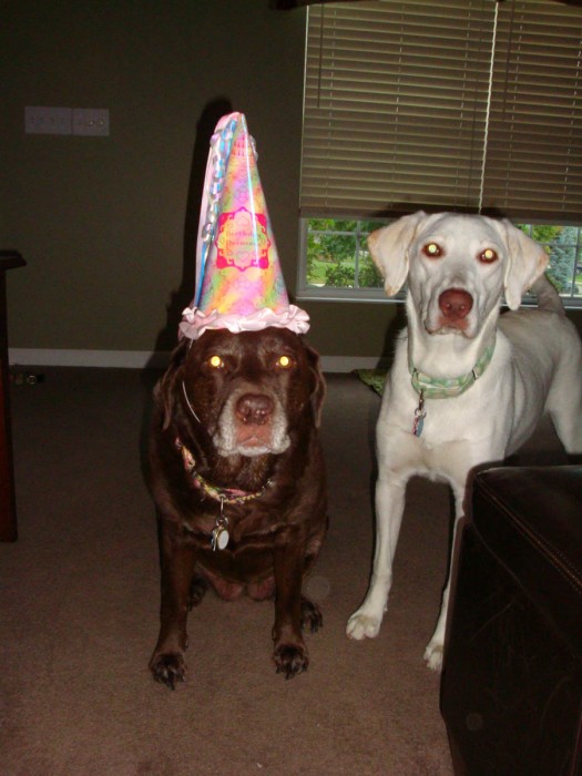 Hailey's 10th bda 8 22 2009 (3)