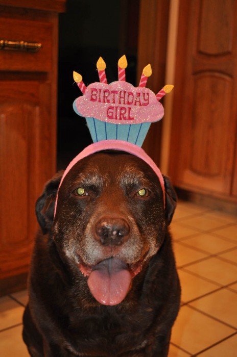 Haileys birthday 8 22 10 (24)