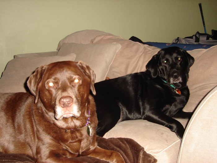 January 2008 020