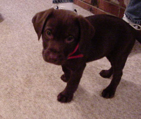 The day we picked up Hailey 10 17 99