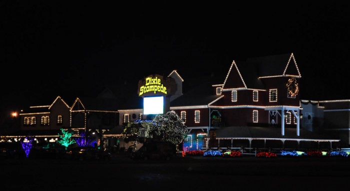DSC_0778