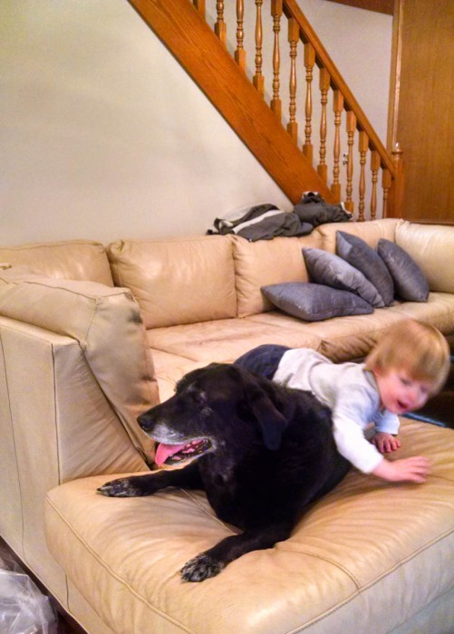 IMG_20141129_135116385_HDR