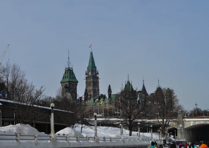 DSC_0284