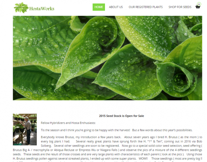 hostaworks_2