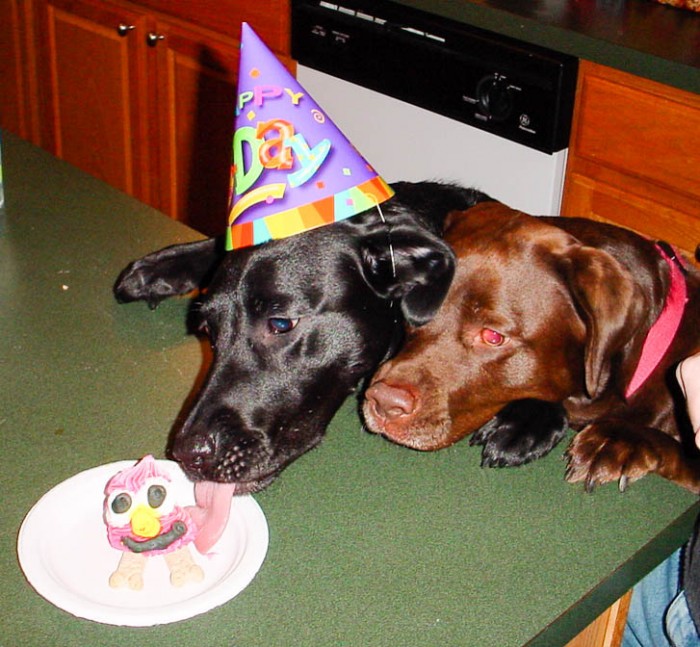 Cammie 2nd birthday 12 12 03.jpg (1)-2